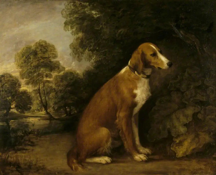 Un Setter seduto in un paesaggio - Thomas Gainsborough