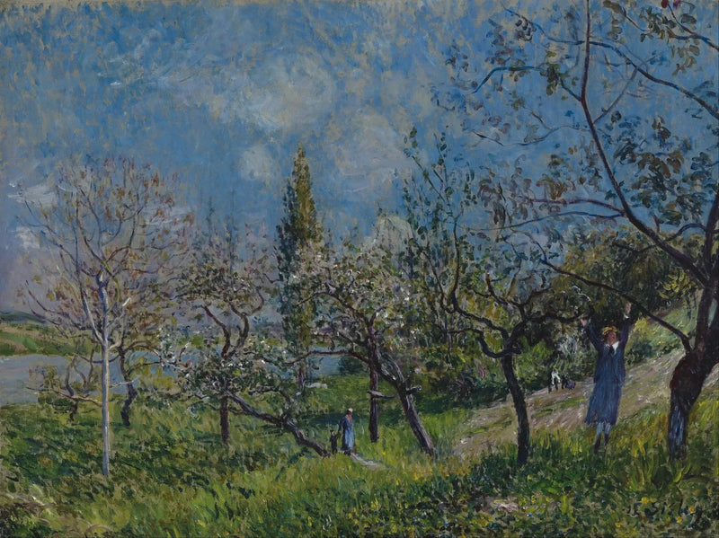 Un frutteto in primavera, Par - Alfred Sisley