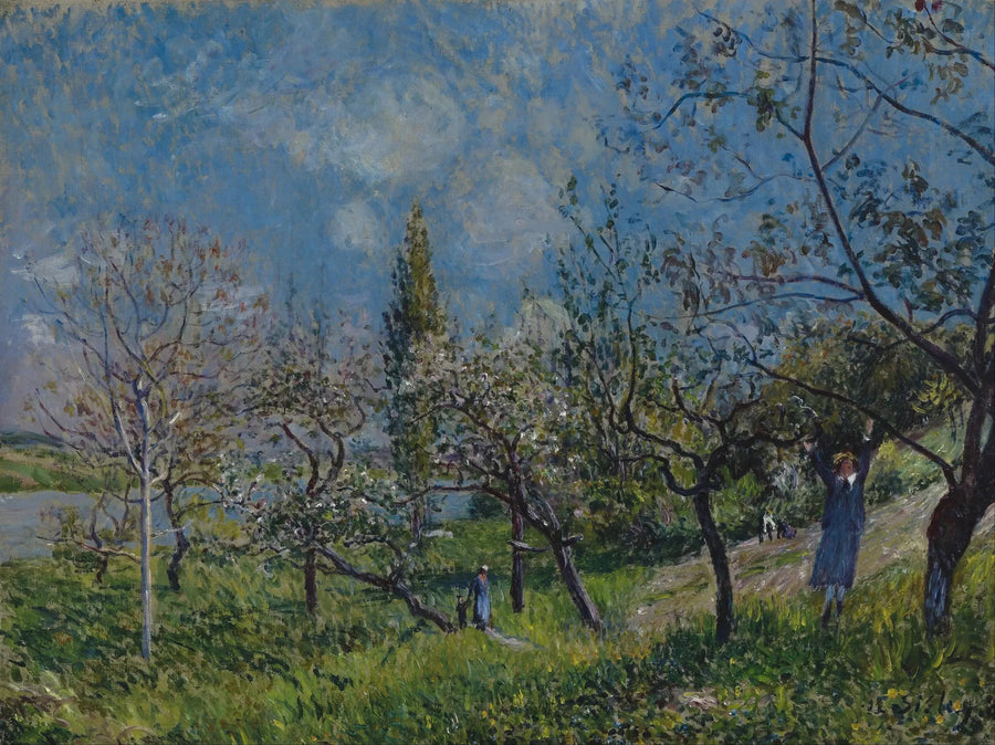 Un frutteto in primavera, Par - Alfred Sisley