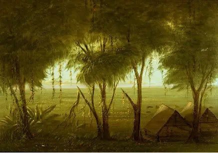 Un villaggio di Connibo - George Catlin