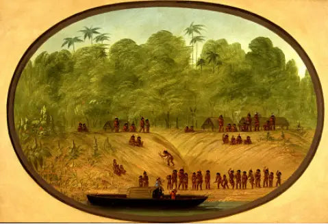 Un village d’Omagua - Croquis de bateau - George Catlin - Alpha Reproduction