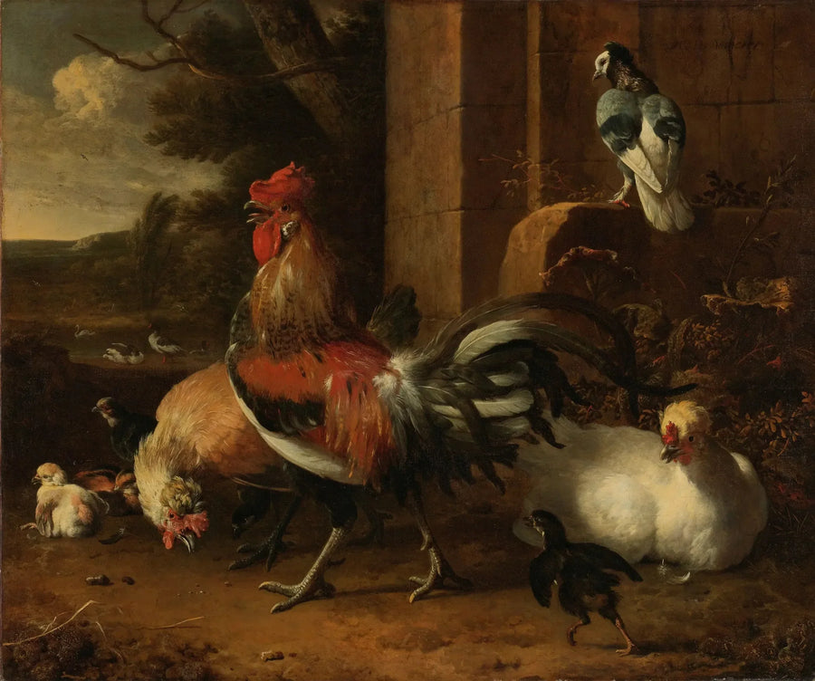 Una cortile - Melchior de Hondecoeter