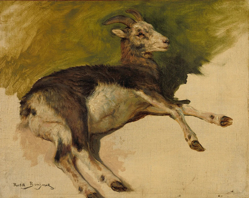 Una capra - Rosa Bonheur