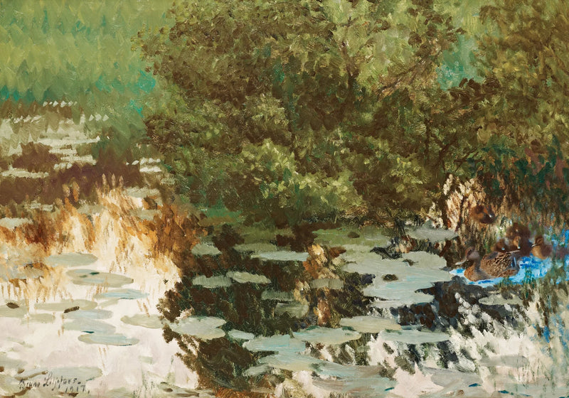 Una famiglia di anatre tra le ninfee. - Bruno Liljefors