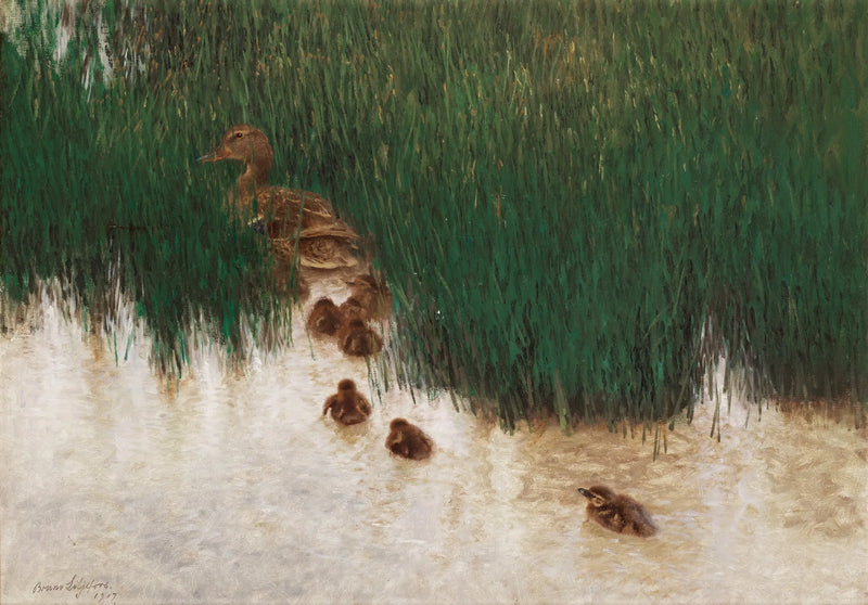 Una famiglia di anatre tra le canne - Bruno Liljefors