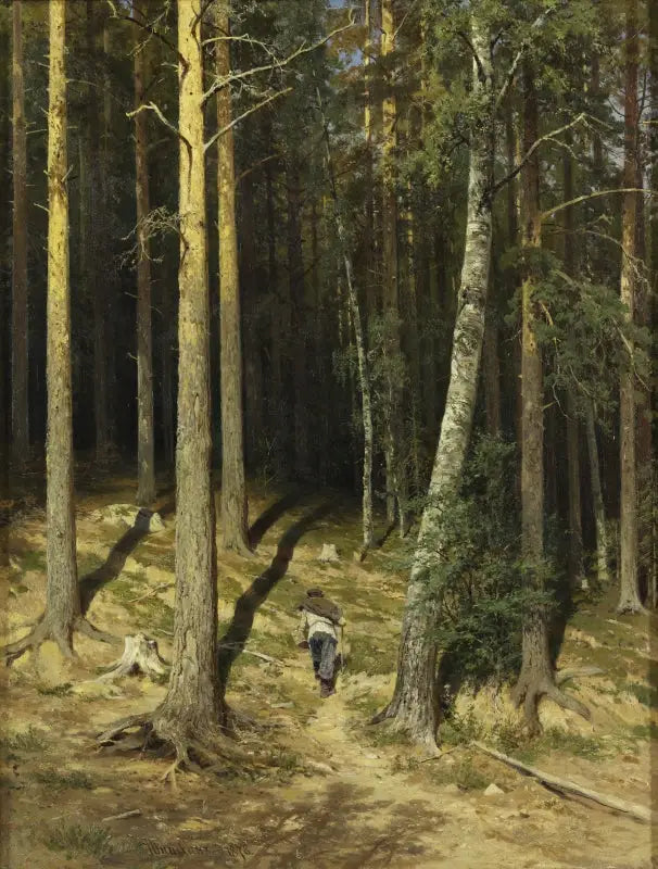 Una foresta di pini - Ivan Chichkine