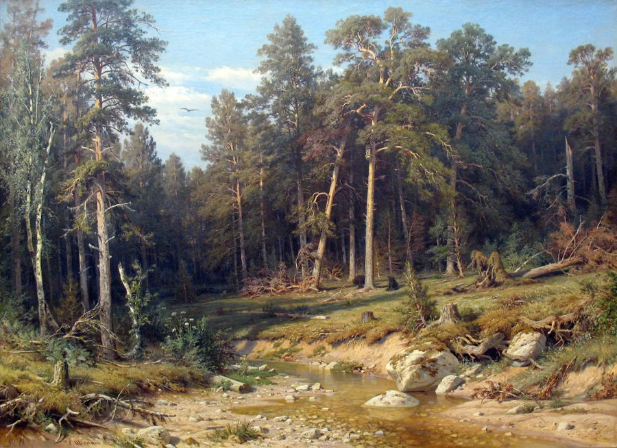 Una foresta di pini. Foresta di alberi nelle provincia di Viatka. - Ivan Chichkine