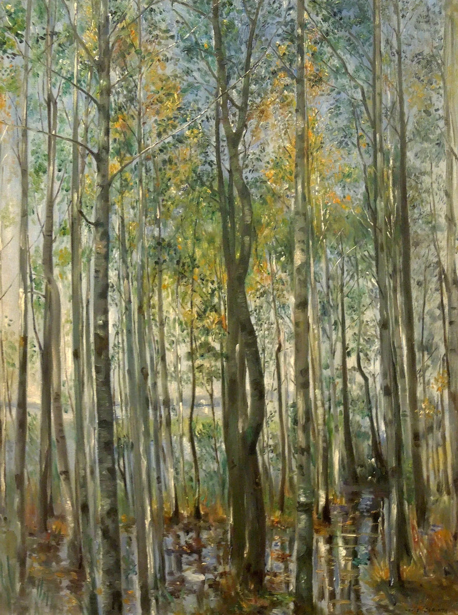 Una foresta. Alluvioni sul lago di Starnberg - Lovis Corinth