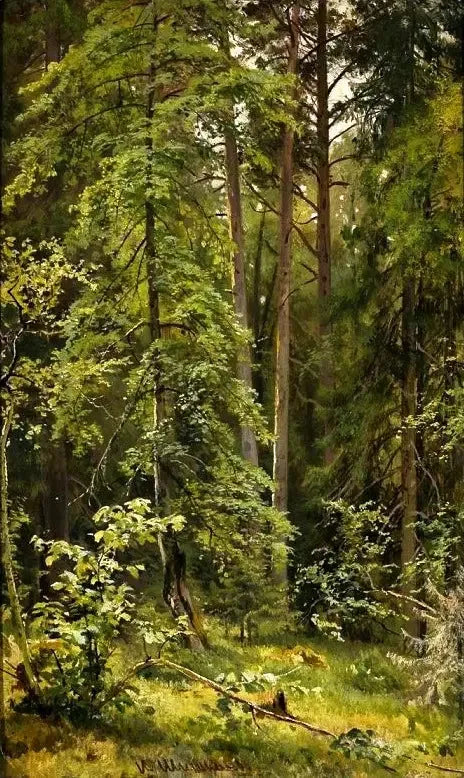 Una foresta - Ivan Chichkine