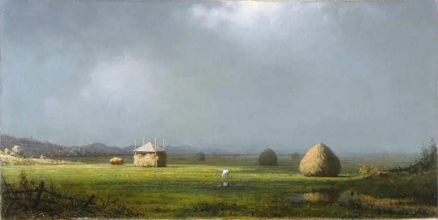 Una giornata nuvolosa - Martin Johnson Heade