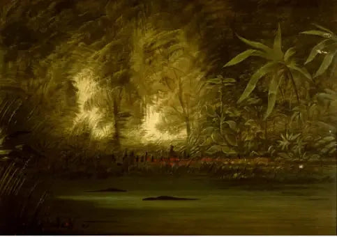 Una laguna dell'Alto Amazzoni - George Catlin
