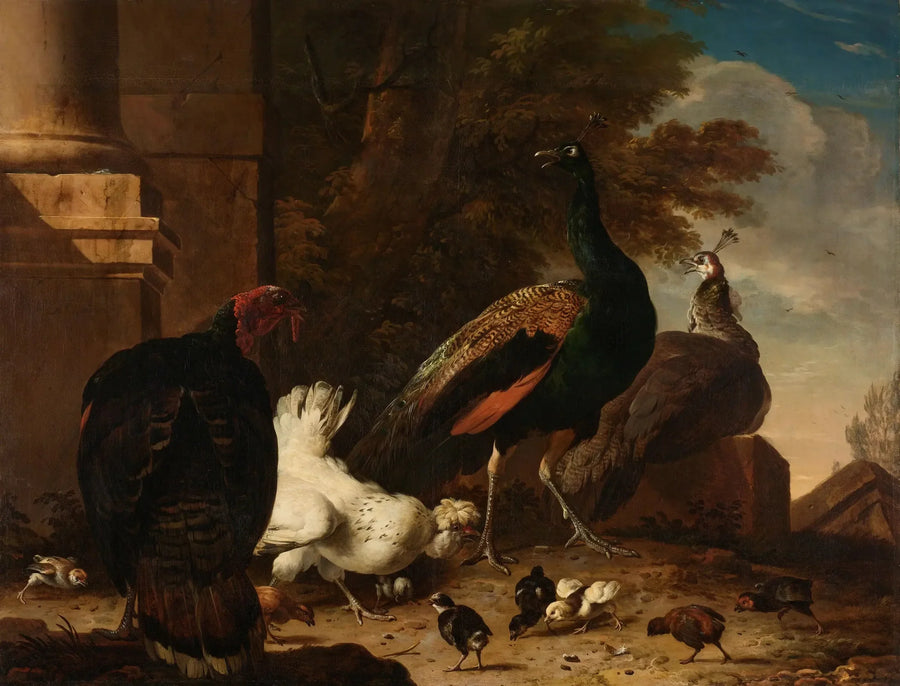 Una gallina con pavoni e un tacchino - Melchior de Hondecoeter
