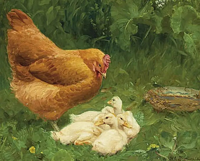 Una gallina e alcuni anatroccoli. - H. A. Brendekilde