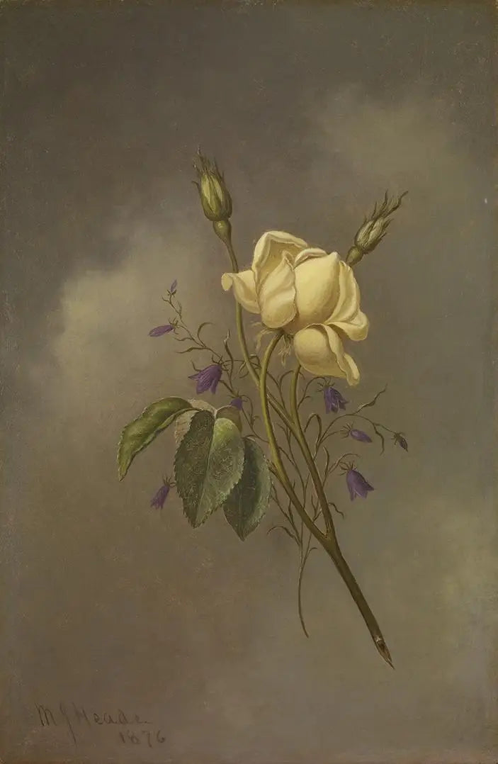 Una rosa gialla contro un cielo nuvoloso - Martin Johnson Heade