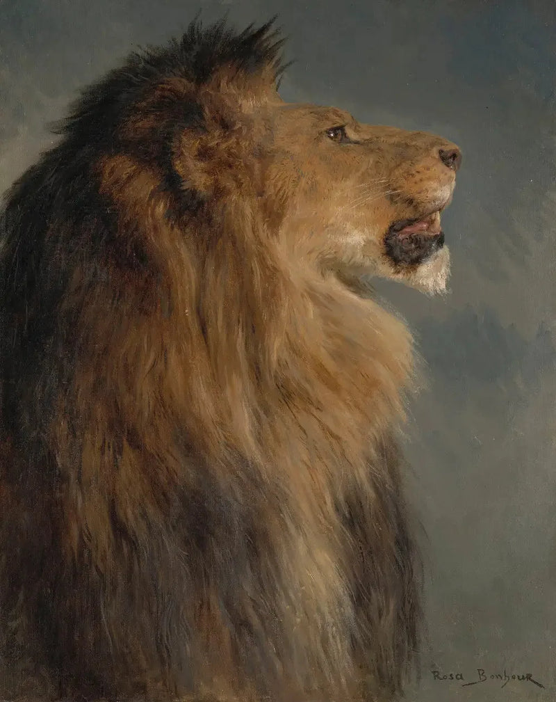 Una testa di leone - Rosa Bonheur