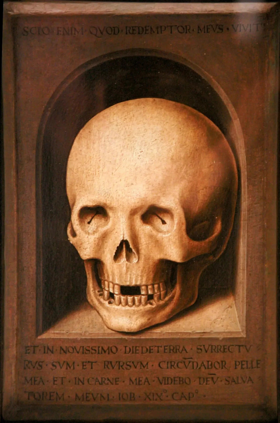 Una testa di morto - Hans Memling