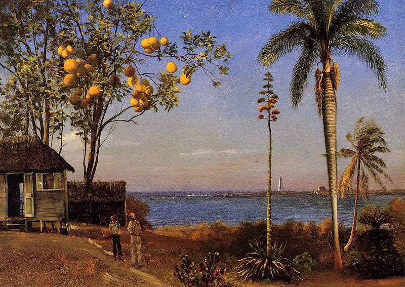Una vista alle Bahamas, olio su carta incollata su cartone, 48,58 x 35,24 cm - Albert Bierstadt