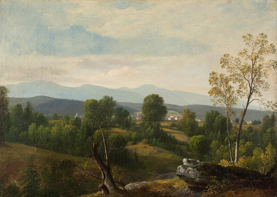 Una vista sulla valle - Asher Brown Durand