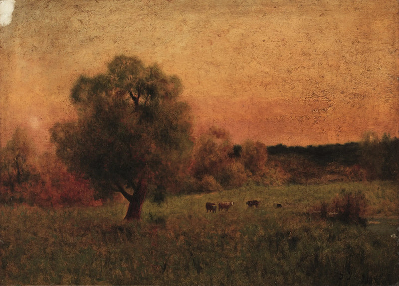 Mucche in un campo - George Inness