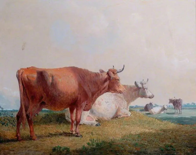 Mucche - John Frederick Herring, Sr.