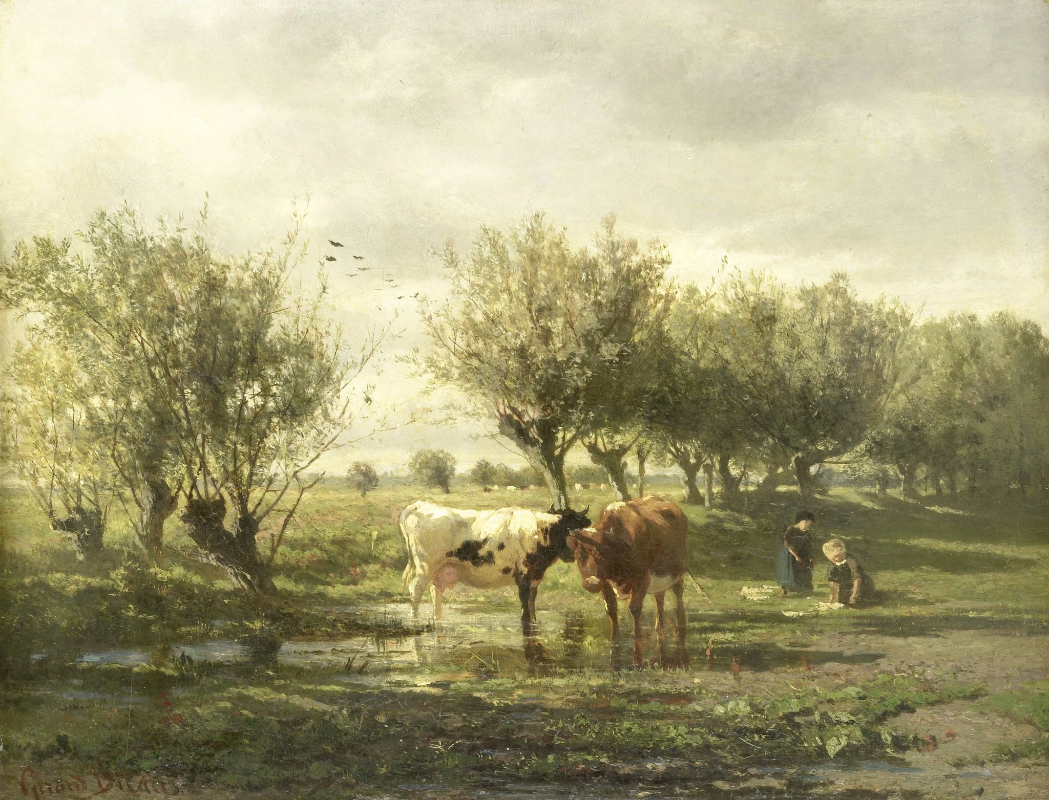 Vaches près d'une flaque d'eau - Gerard Bilders