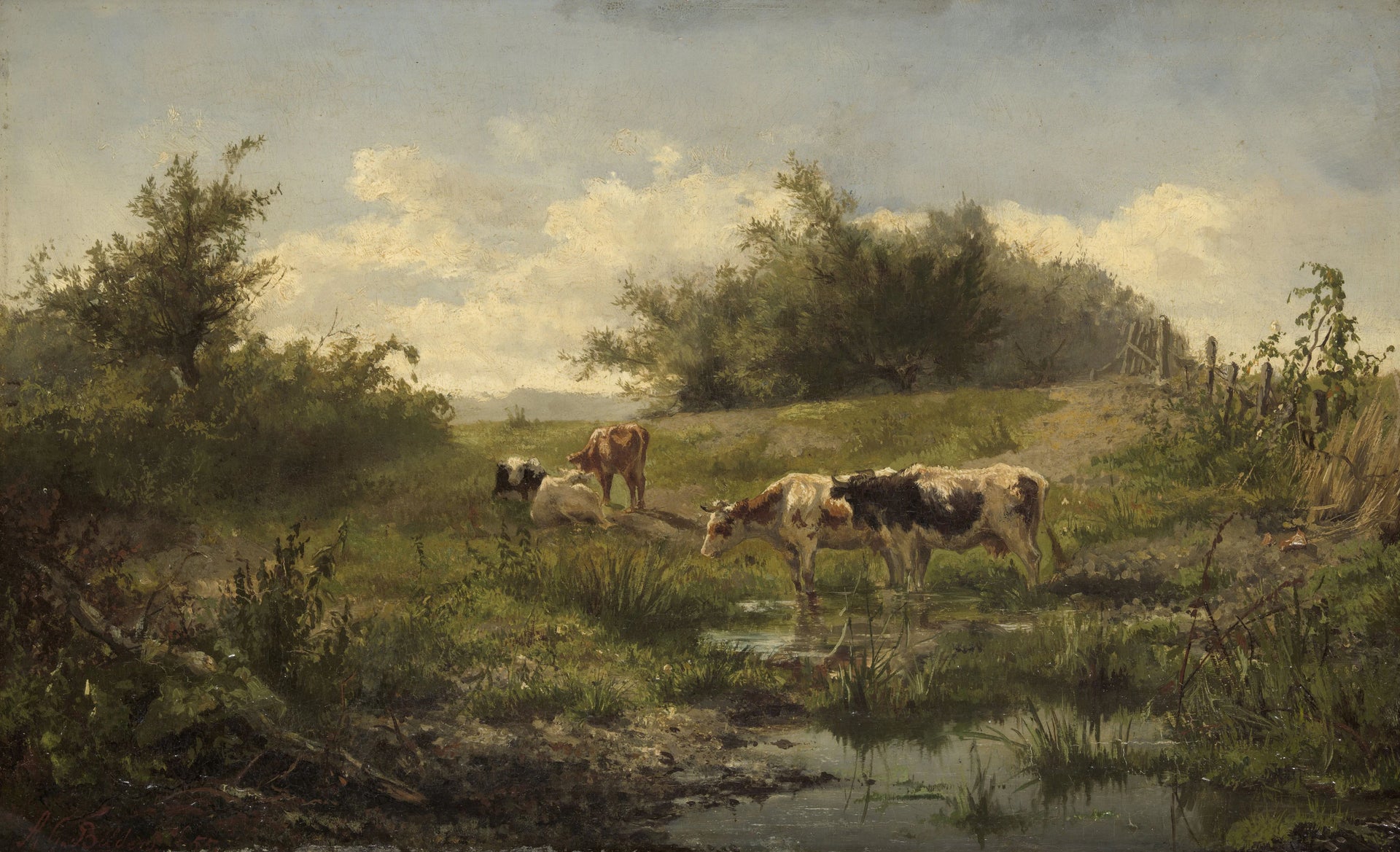 Vaches près d'une flaque d'eau - Gerard Bilders