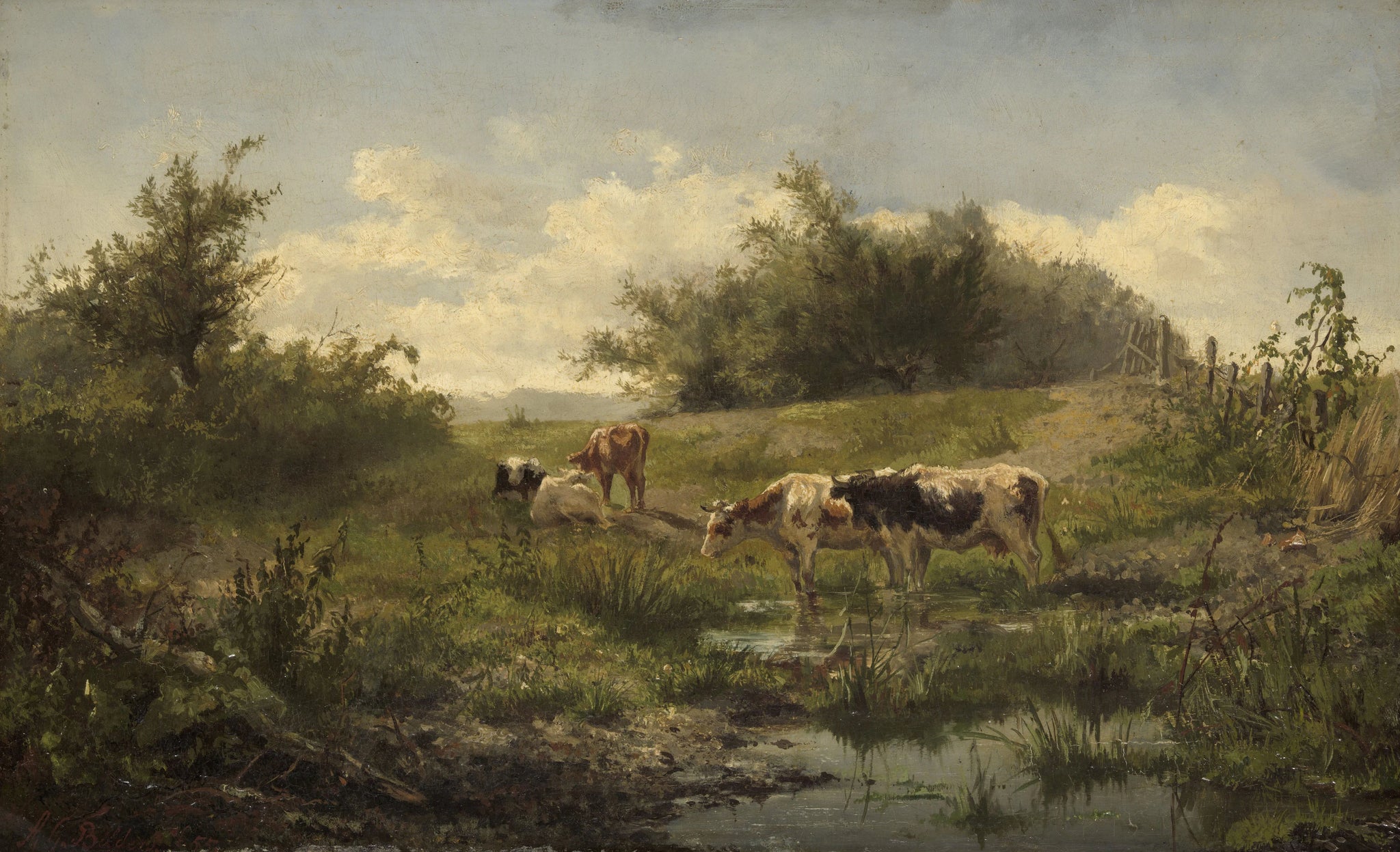 Vaches près d'une flaque d'eau - Gerard Bilders