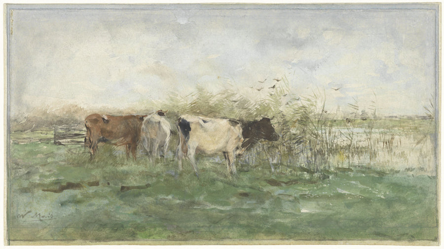 Vaches près d'une flaque d'eau - Willem Maris