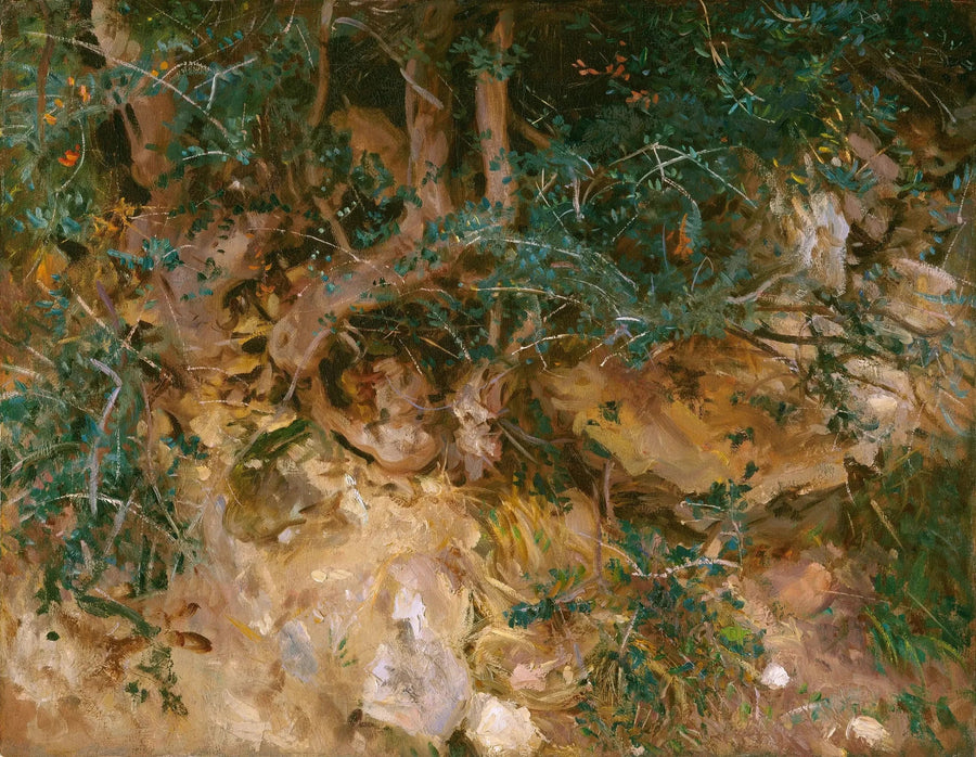 Valdemosa, Maiorca: cardi e erbe su una collina - John Singer Sargent