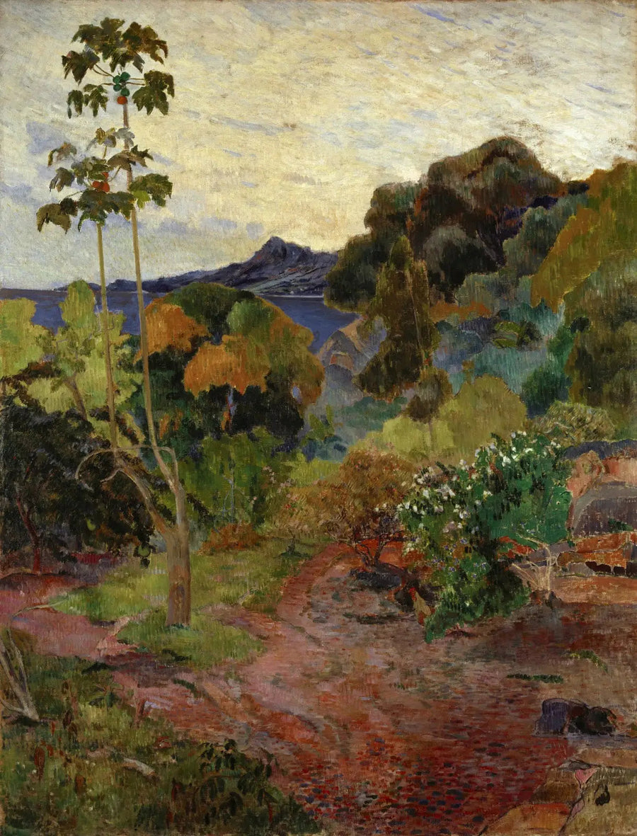 Vegetazione tropicale, Martinica - Paul Gauguin