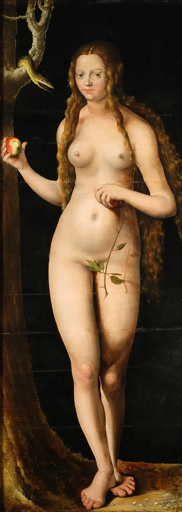 Veille - Lucas Cranach il Vecchio