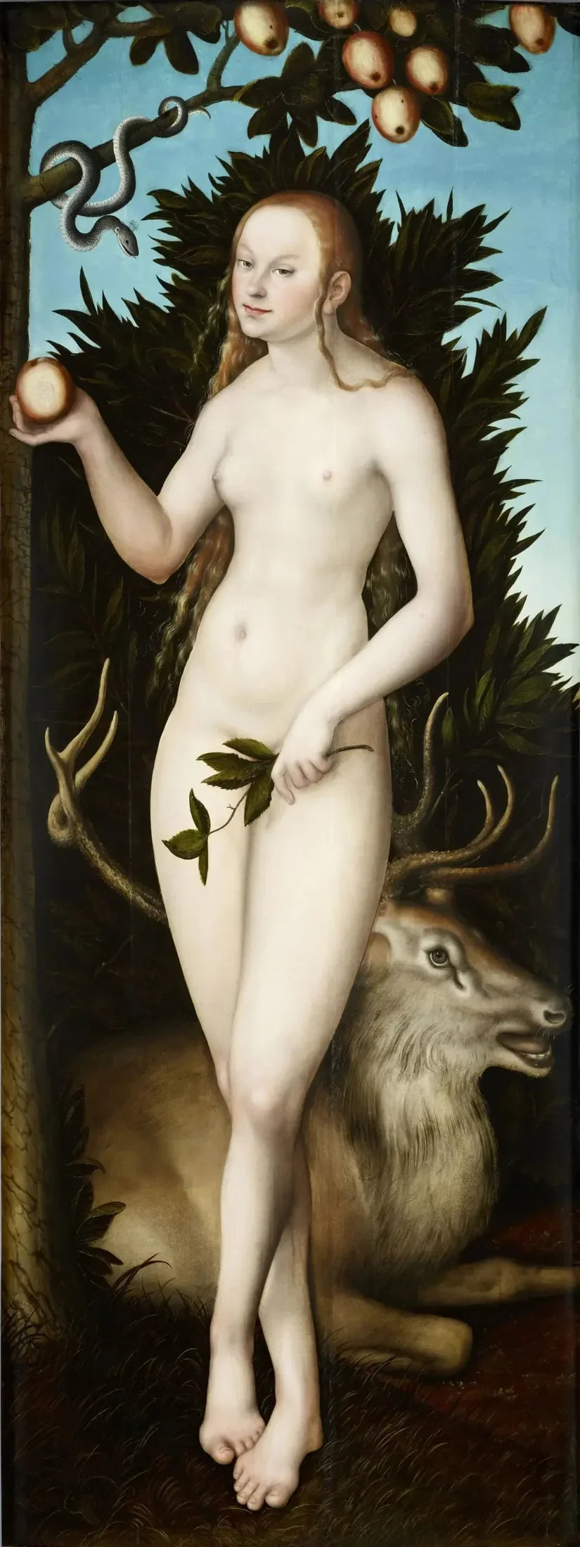 Veille - Lucas Cranach il Vecchio