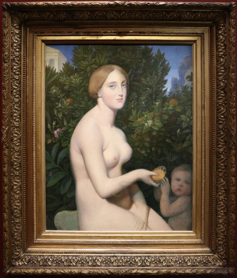 Venere a Pafos - Jean-Auguste-Dominique Ingres