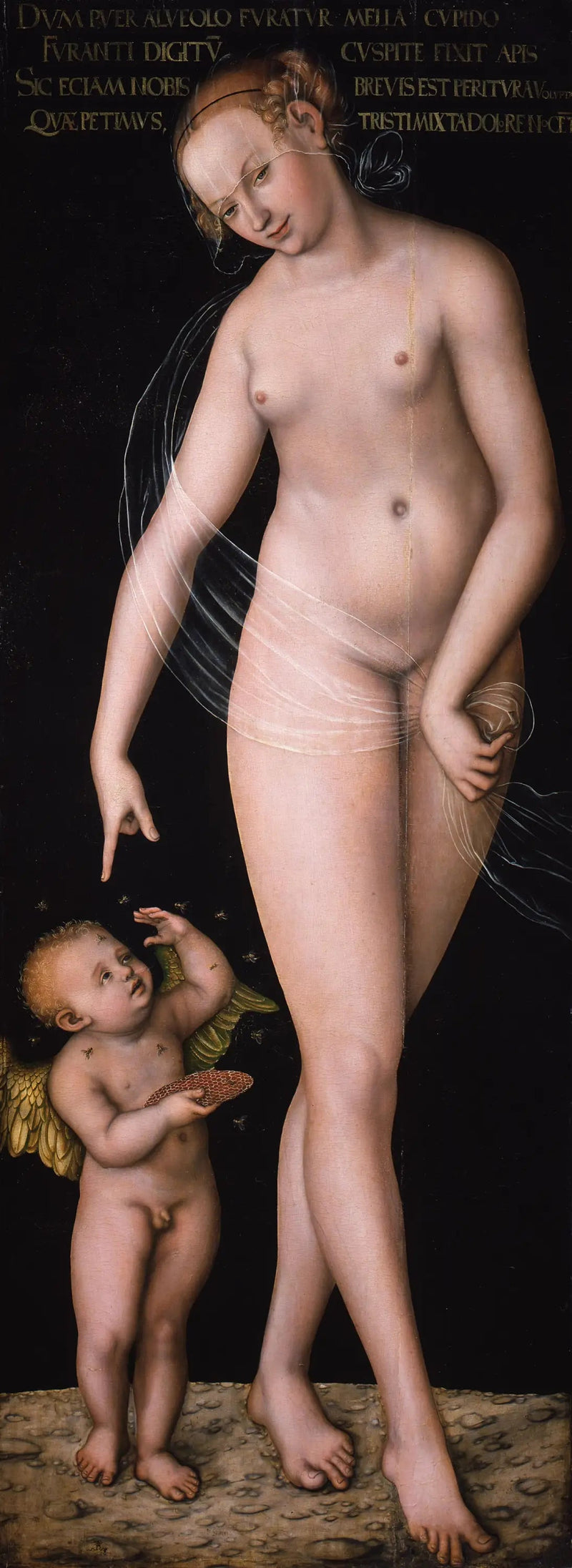 Venere con Cupido il ladro di miele - Lucas Cranach il Vecchio