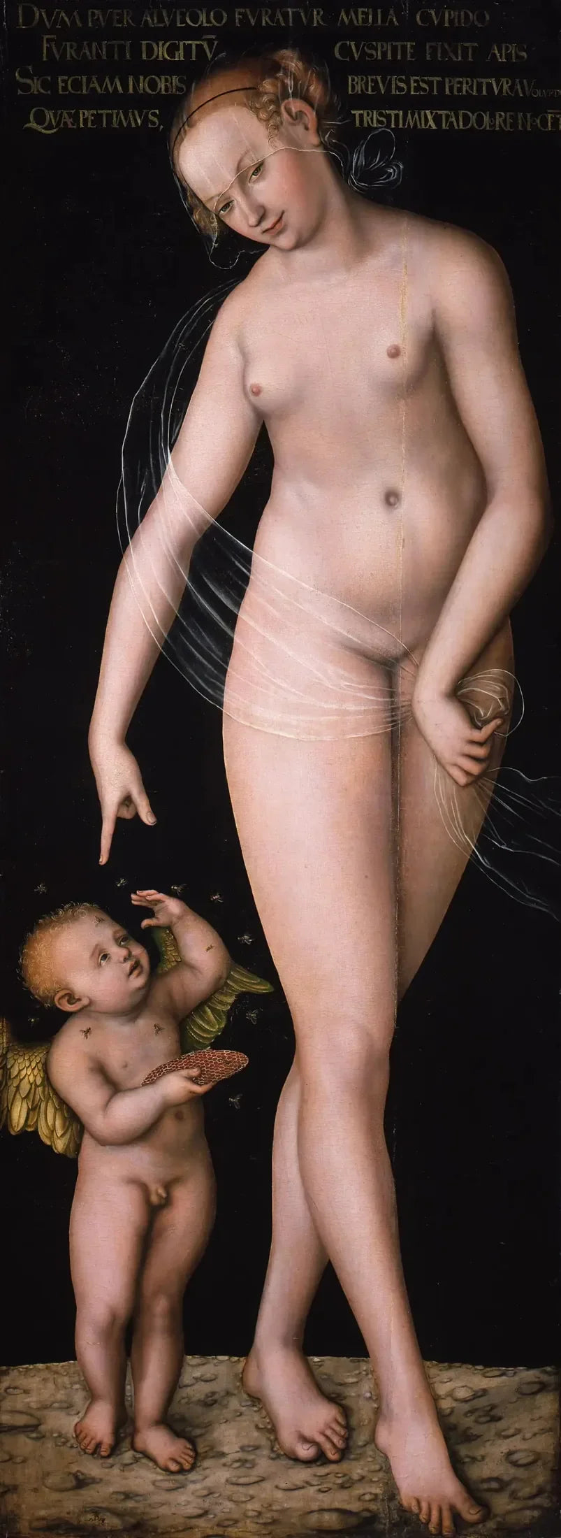 Venere con Cupido il ladro di miele - Lucas Cranach il Vecchio