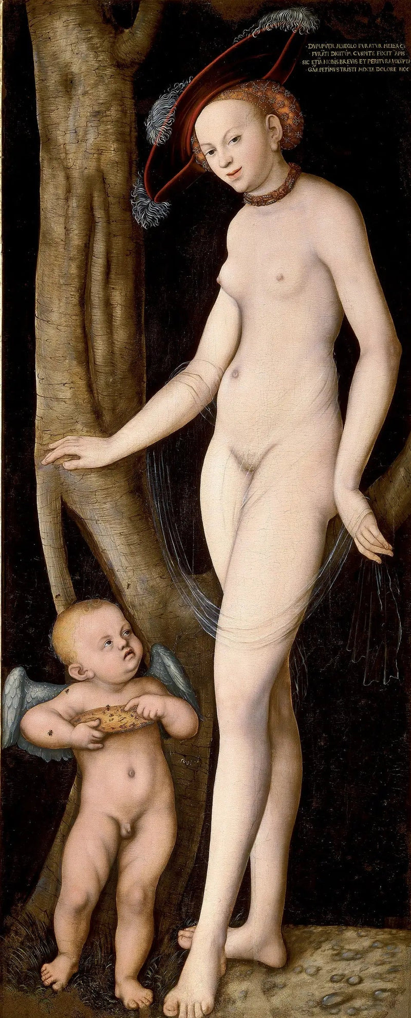 Venere con Cupido ladro di miele - Lucas Cranach il Vecchio