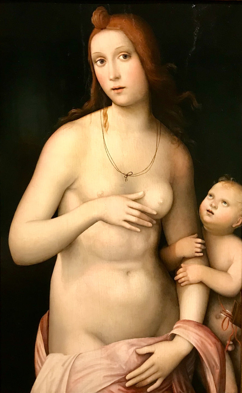 Venere e Cupido - Francesco Francia