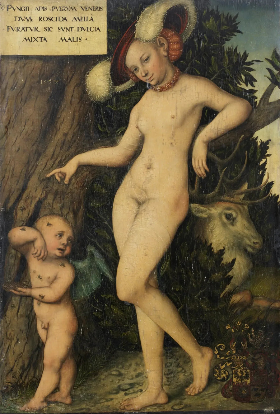 Venere e Cupido - Lucas Cranach il Vecchio