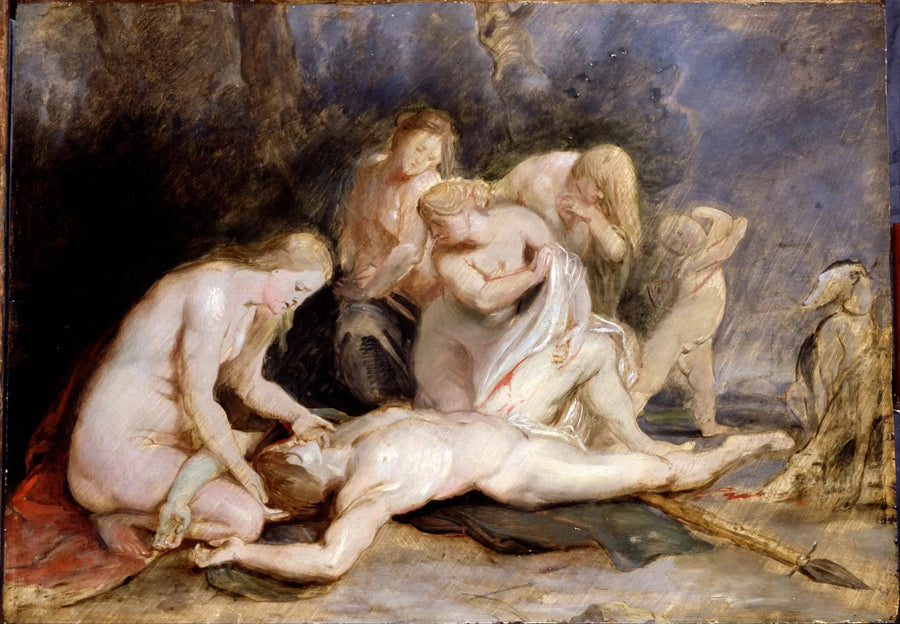 Venere che piange Adone - Peter Paul Rubens