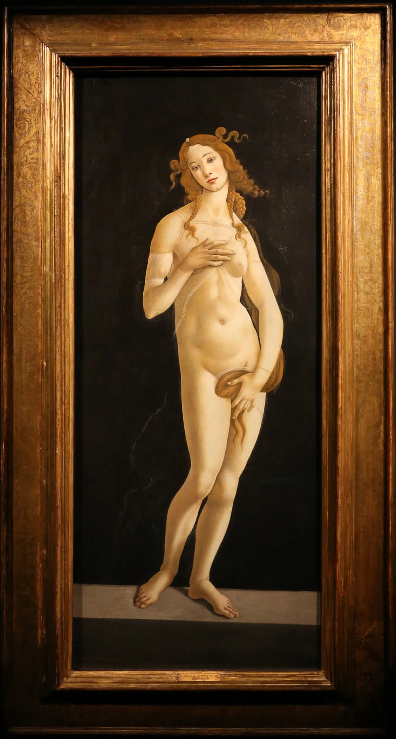 Venere pudica - Sandro Botticelli