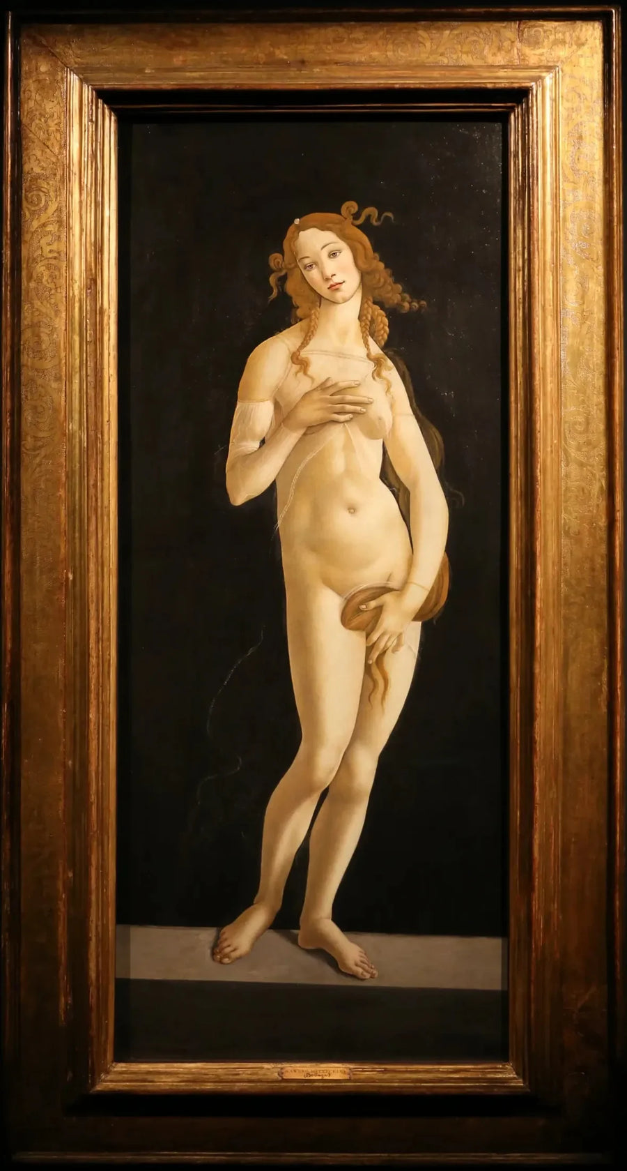 Venere pudica - Sandro Botticelli