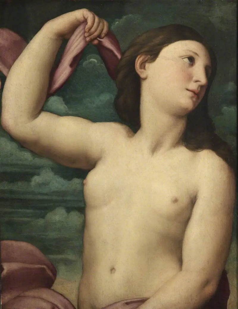 Venere - Raffaello Sanzio