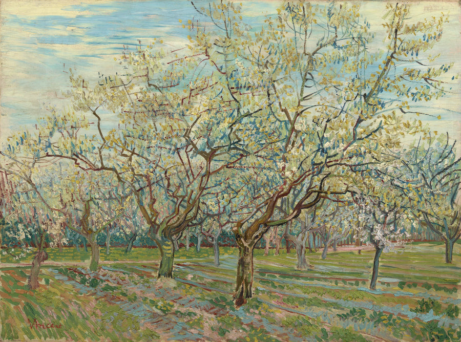 Il frutteto bianco - Vincent van Gogh