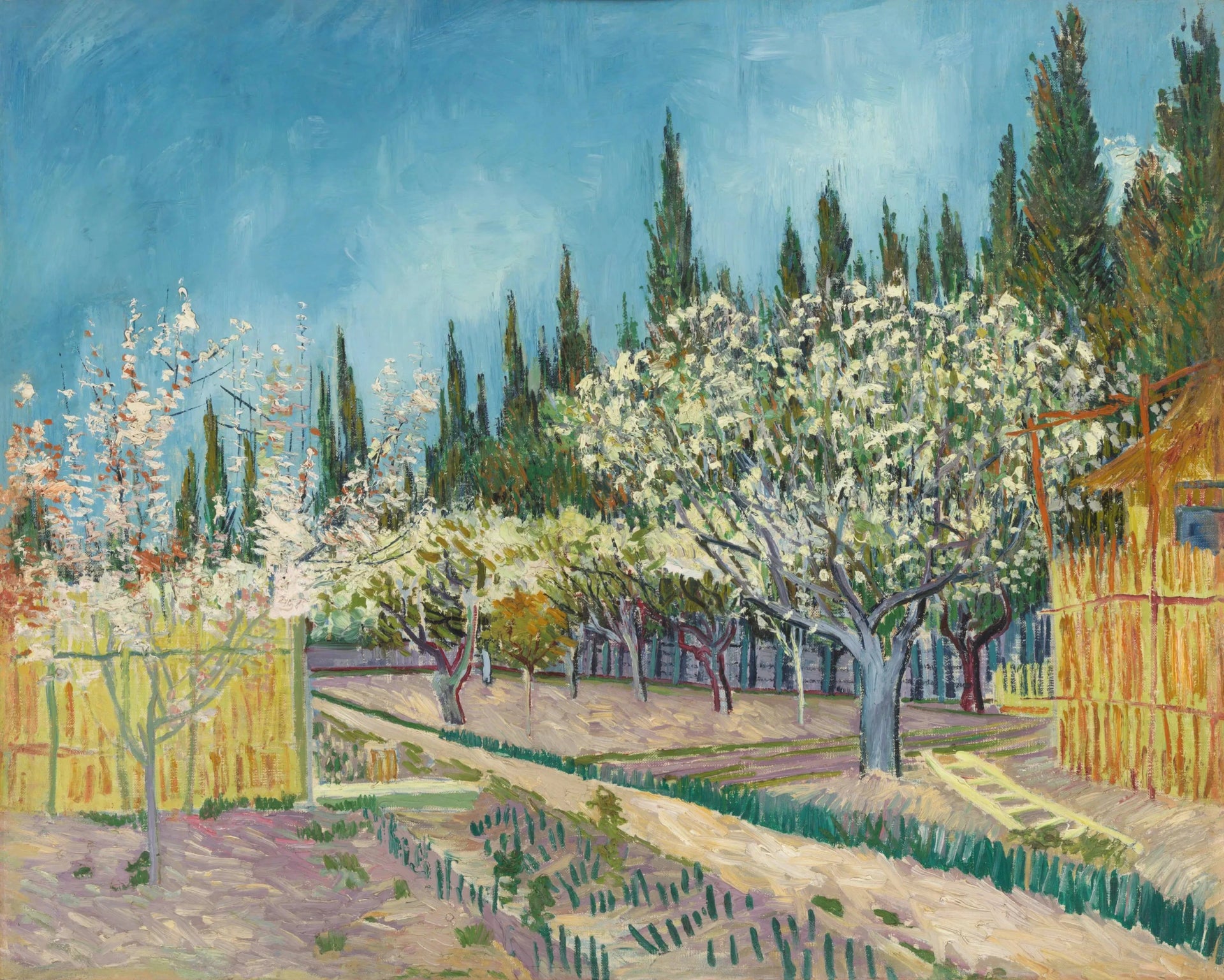 Verger en fleurs bordé de cyprès, F513 — entrée du verger, clôtures jaunes et cyprès peints par Vincent van Gogh