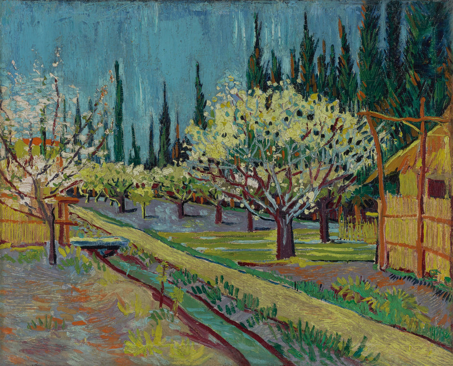 Frutteto fiorito, circondato da cipressi - Vincent van Gogh