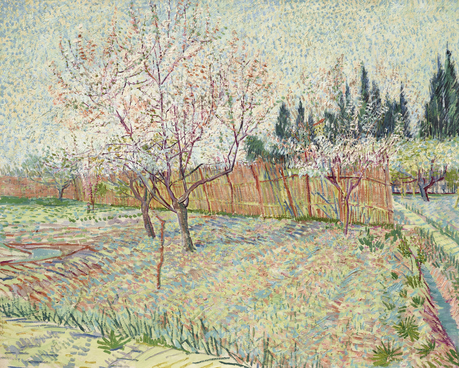 Frutteto con cipressi - Vincent van Gogh