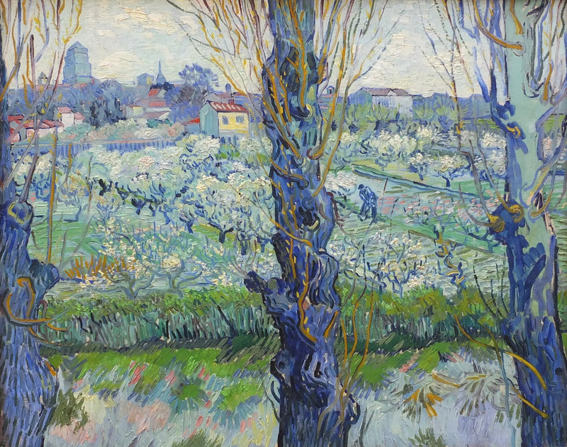 Frutteto in fiore con vista su Arles - Vincent van Gogh