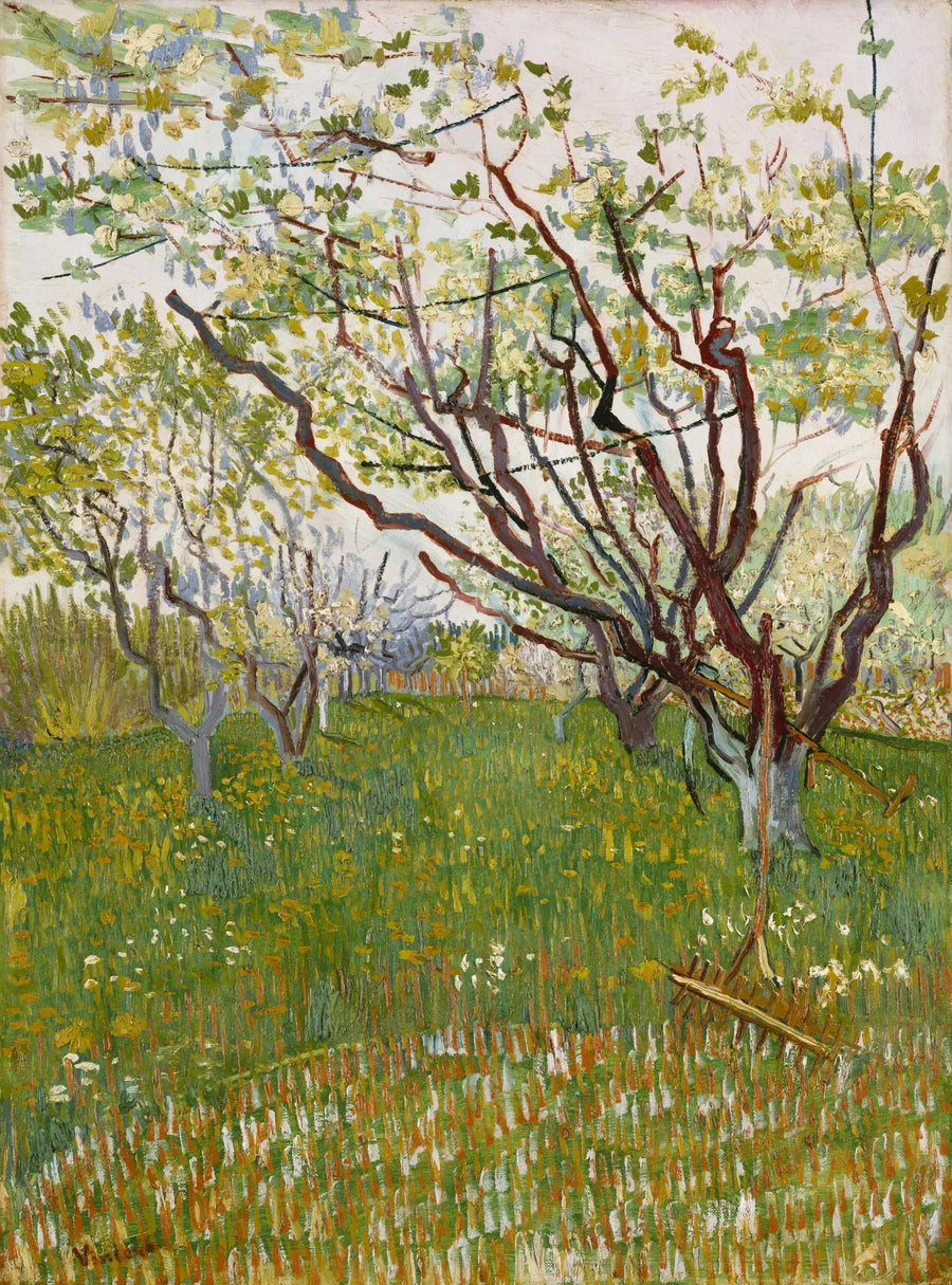 Frutteto in fiore - Vincent van Gogh