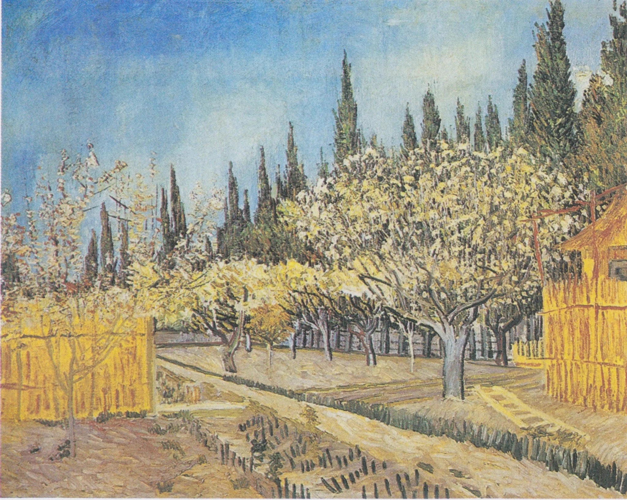 Verger en fleurs, bordé de cyprès - Vincent van Gogh image 1 reproduction réalisée par Alpha Reproduction