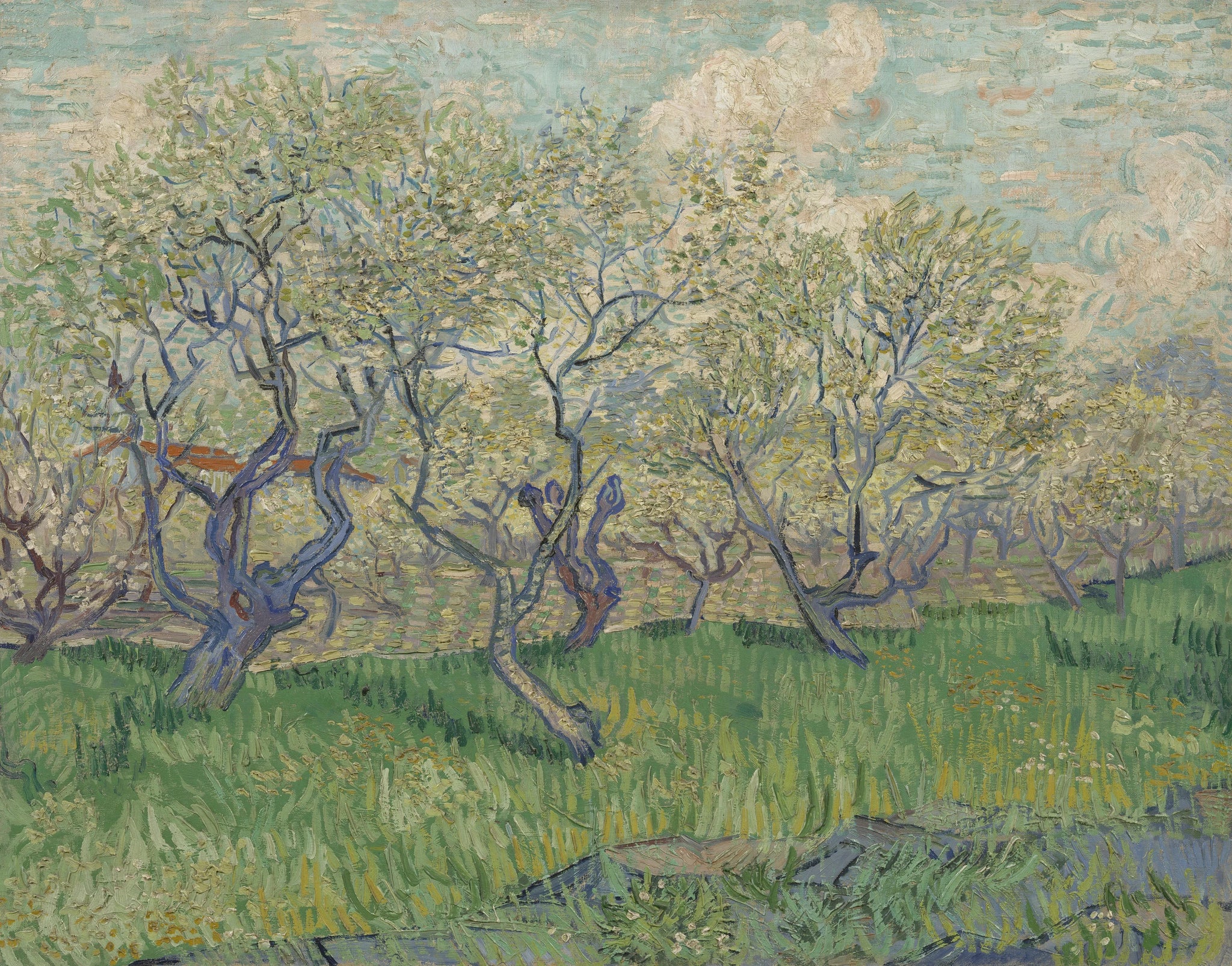Verger en fleurs, F511 — arbres fruitiers en fleurs dans une prairie verte peints par Vincent van Gogh